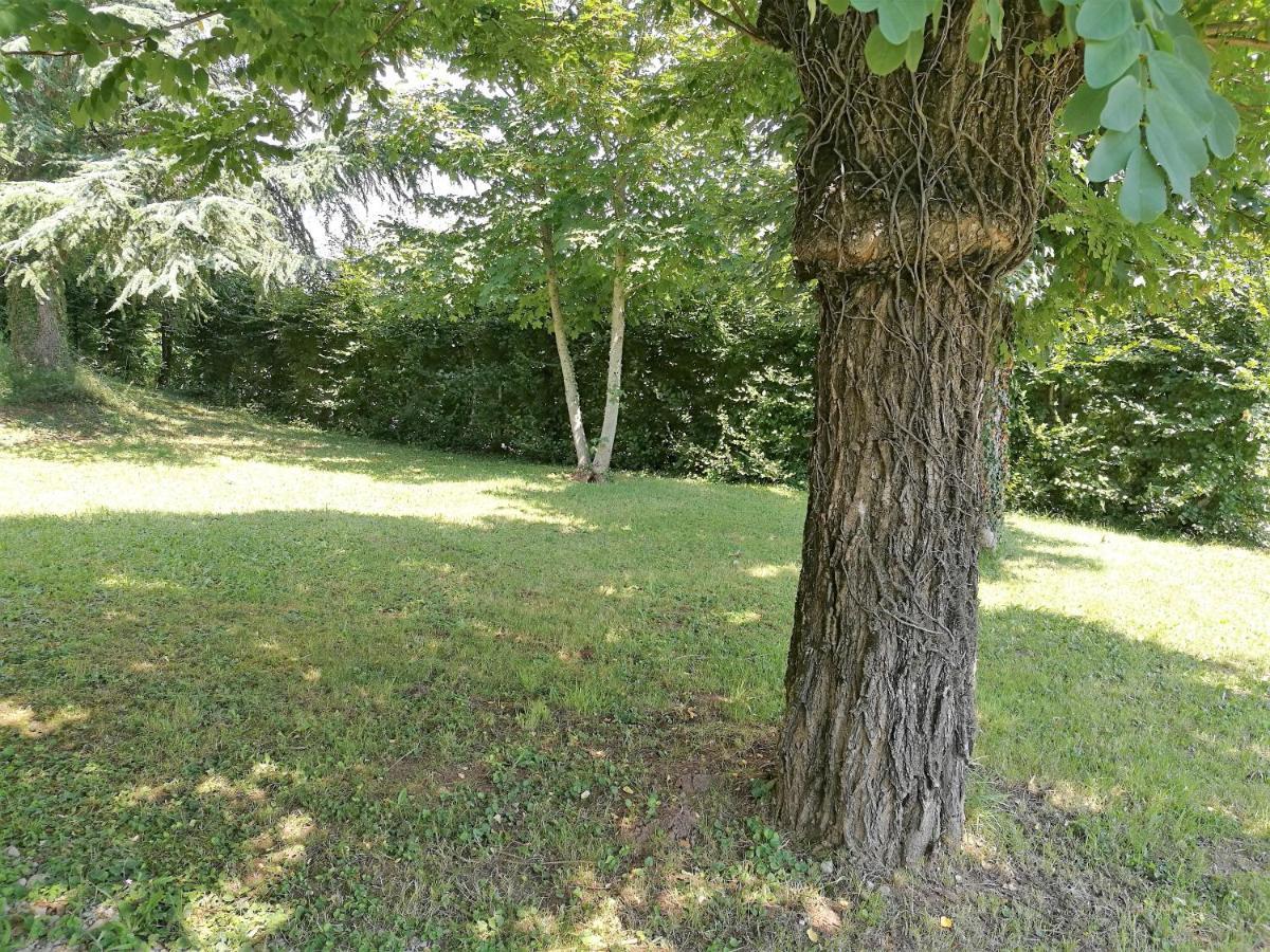 Douceur En Campagne Apartment Espalion Luaran gambar